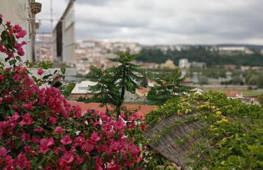 Casa com vista sob a cidade! - Foto 16