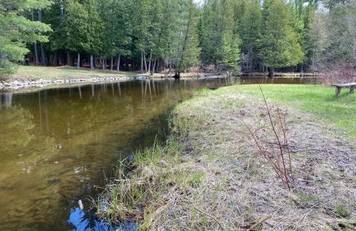 Secluded Au Sable River Home - Foto 13