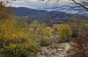 Apartamenty Otulina - Foto 29