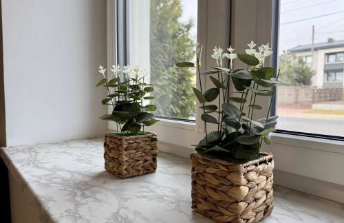 Noclegi, pokoje, kwatery "Nad Bzurą" - Foto 67