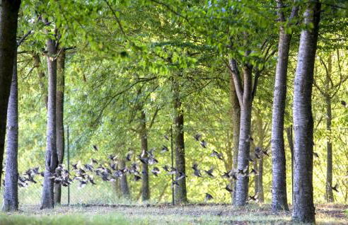 6 Bedroom Beautiful Home In Treia - Foto 41