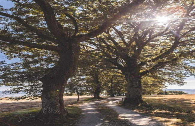 Peaceful Pienza Garden Escape - Foto 34