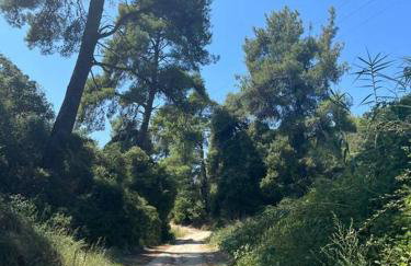 Paralia Homes cheerful 2 bedroom with pool, unit #1 - Foto 32