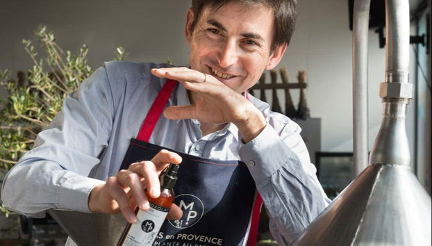 Descubriendo diferentes aceites esenciales