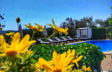 Agroturismo Sa Vinya d'en Palerm - Foto 13