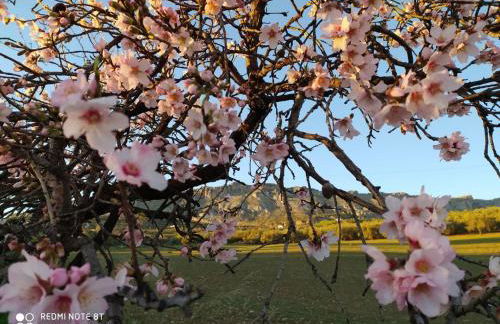 Casa Rubito el Olmo - Foto 53