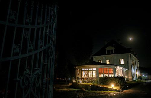 Pałac na Wodzie Hotel & SPA - Foto 40