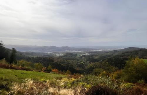 Ferienwohnungen Bauer - Foto 12