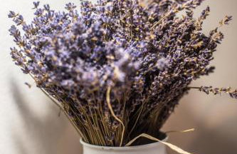 Apartman Magnolia - Foto 41