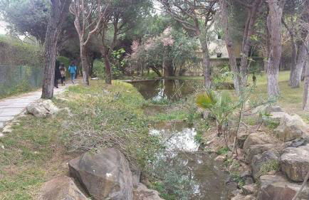 Praia Verde Residence - Foto 29