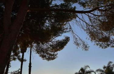 Villa la Pineta - Photo 16