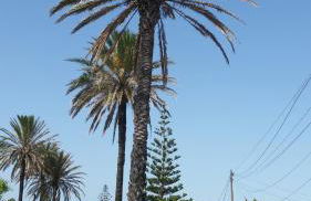 Beach-Front Bahia Dorada - Photo 62