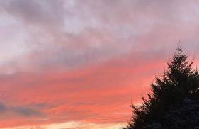 CAMPO DE SOBARBO - Guest House rural - Foto 67