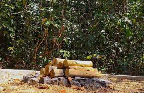 Libélula Eco Loft - Foto 50