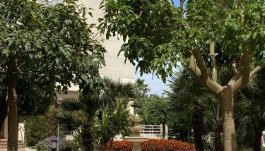 Playamar Beach Appartment - A 400m de la Playa - Foto 2, Garden, Garden view