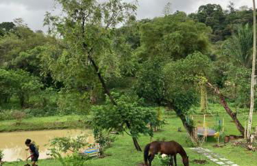 Sítio Luz das Estrelas - Foto 9