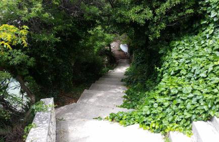 Apartments Olga & Jure - Foto 55