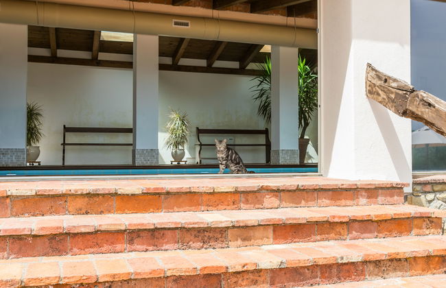 Grotte Rosse - Photo 24