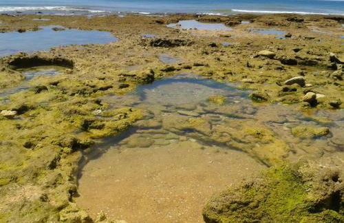 Casa da Praia - Foto 41