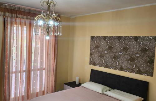 aranceto dell'Etna - Foto 57