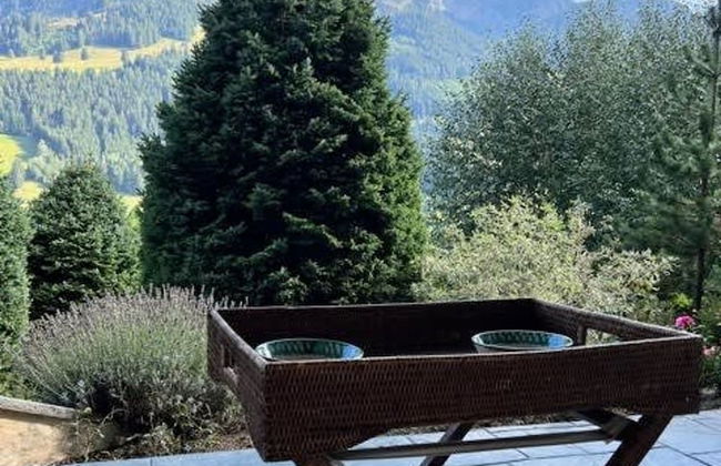 Gstaad Switzerland Skiing From Exclusive Rougemont Chalet Apartment - Foto 17