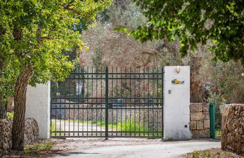 Torre Casciani - Foto 108