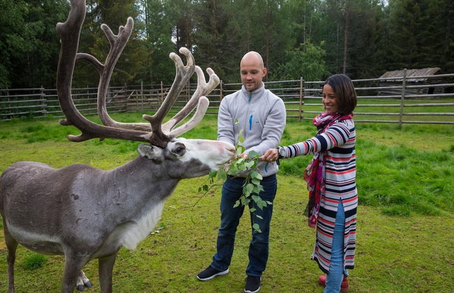 Ounasvaara Lakituvat chalets - Foto 38