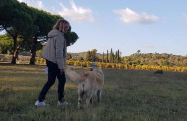 L'Odyssée provençale, un duplex de charme de 2 chambres au pied du village médiéval de Bormes-les-Mimosas, offrant des prestations haut de gamme et une superbe vue sur le Massif des Maures - Foto 53