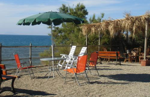 Stella Di Sicilia - Foto 42