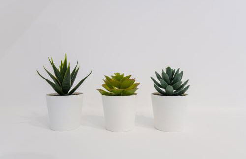 Stunning Garden House with Free WIFI and Parking - Foto 17