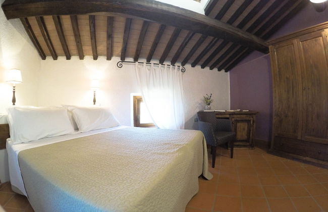 Boschi di Montecalvi - Foto 13