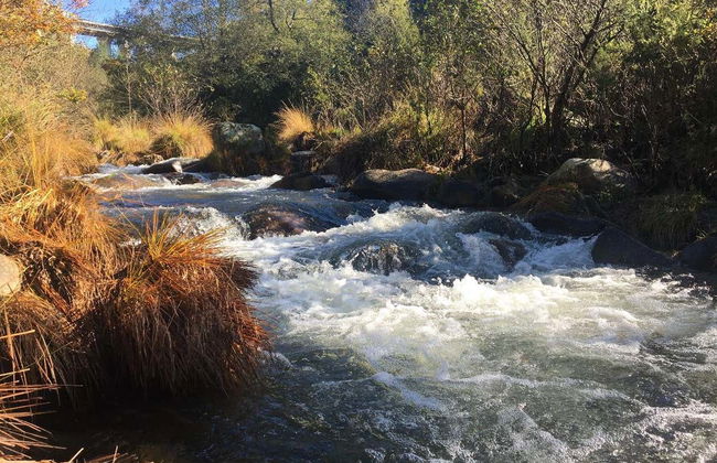Louredo Valley Hiking Tour - Photo 3