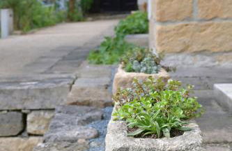 Gründelstube - Foto 34