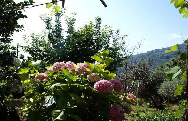 Paradeisos Flatlet With Garden View - Foto 6