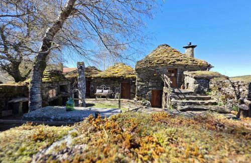 Cardenha das Formiguinhas - Foto 78