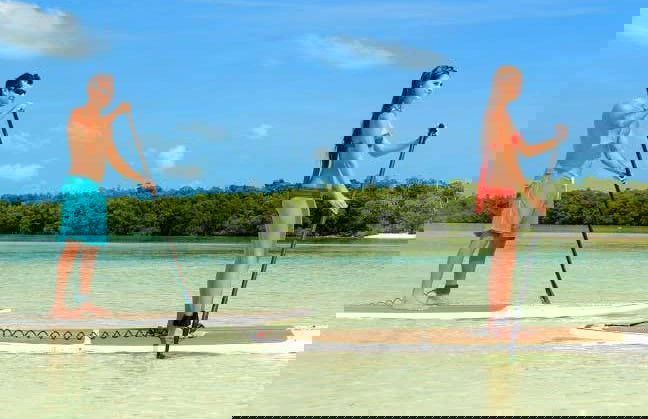 Caiaque e paddle surf em Key West + Snorkel - Foto 2
