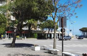 Residence Adriatico - Foto 57