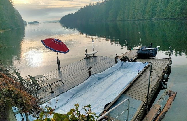 Luxury ocean dock pool villa - Photo 19