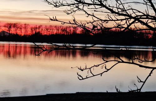 Ferienhäuser Kiebitzsee - Foto 24