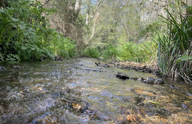 Beautiful 2bed Cottage in Knowle St Giles nr Chard - Foto 10