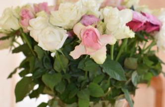 Ferienwohnungen und Gästezimmer Peter Busch - Foto 11