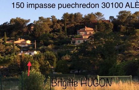 La Pichioline - Foto 4