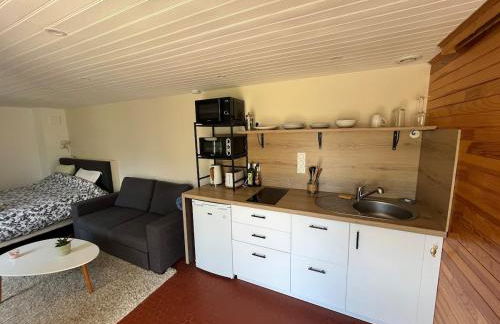 Villa Mulsanne et studio - Centre bourg - Proche circuit des 24H du mans - 12 personnes - Photo 22