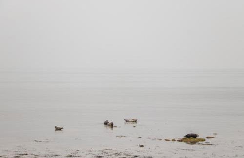 Corner Cottage - Foto 25