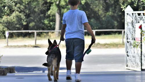 Le Residenze di Santa Costanza - Le Dimore - Foto 3