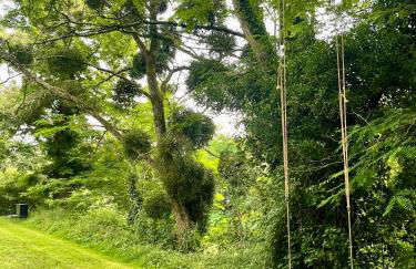 Stunning Boutique gîte Faune at Vive le Vert - Foto 37