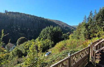 Erkensruhr EIFEL Glück - walking & relaxing TOP view - Foto 19