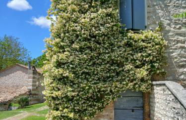 Agriturismo del Frontino - Lo Studio - Foto 20