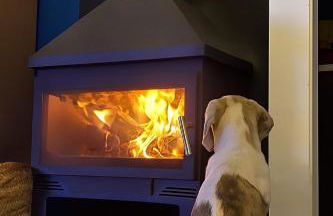 Casa Rural Teja Vieja - Foto 6