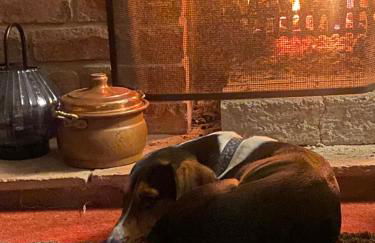 Our house - Photo 15